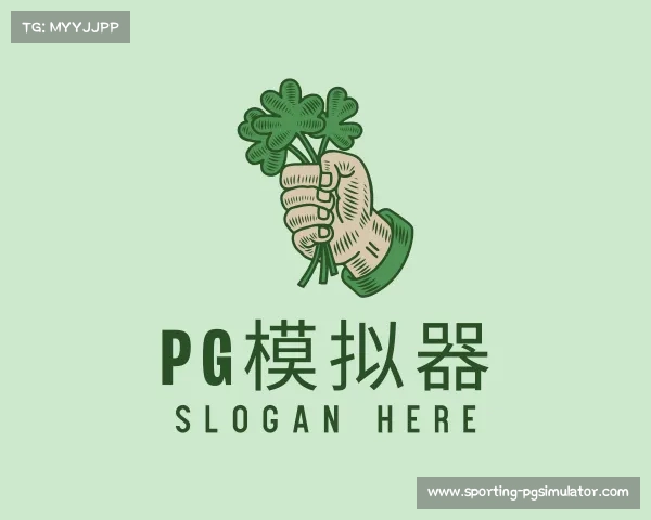 介绍pg模拟器
